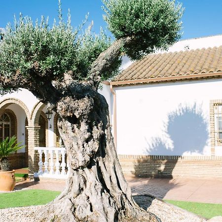 Casa Luxury "El Olivo De Cordoba" Con Jacuzzi Y Parking Privado Pensionat Exteriör bild