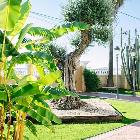 Casa Luxury "El Olivo De Cordoba" Con Jacuzzi Y Parking Privado Pensionat Exteriör bild