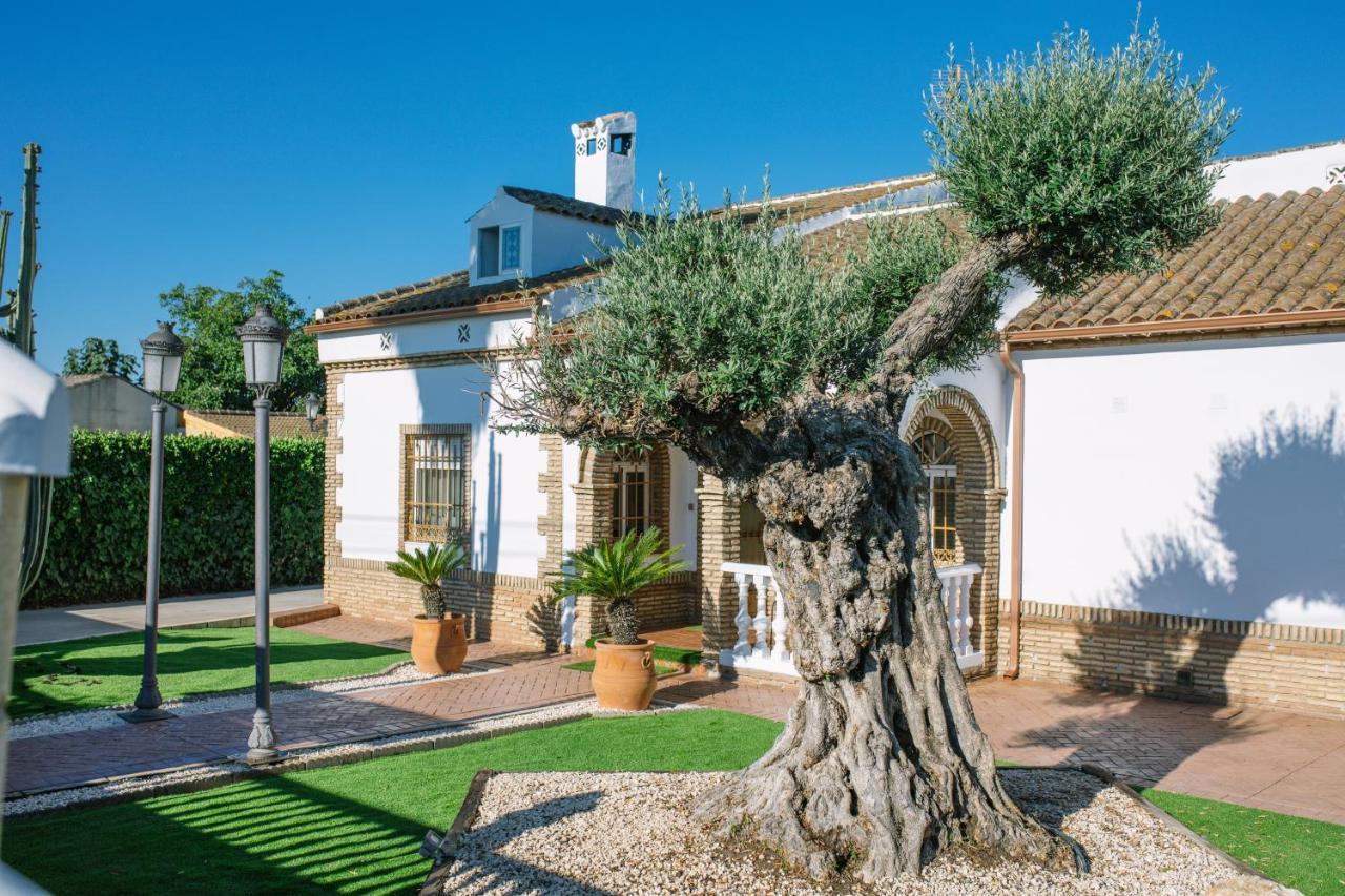 Casa Luxury "El Olivo De Cordoba" Con Jacuzzi Y Parking Privado Pensionat Exteriör bild