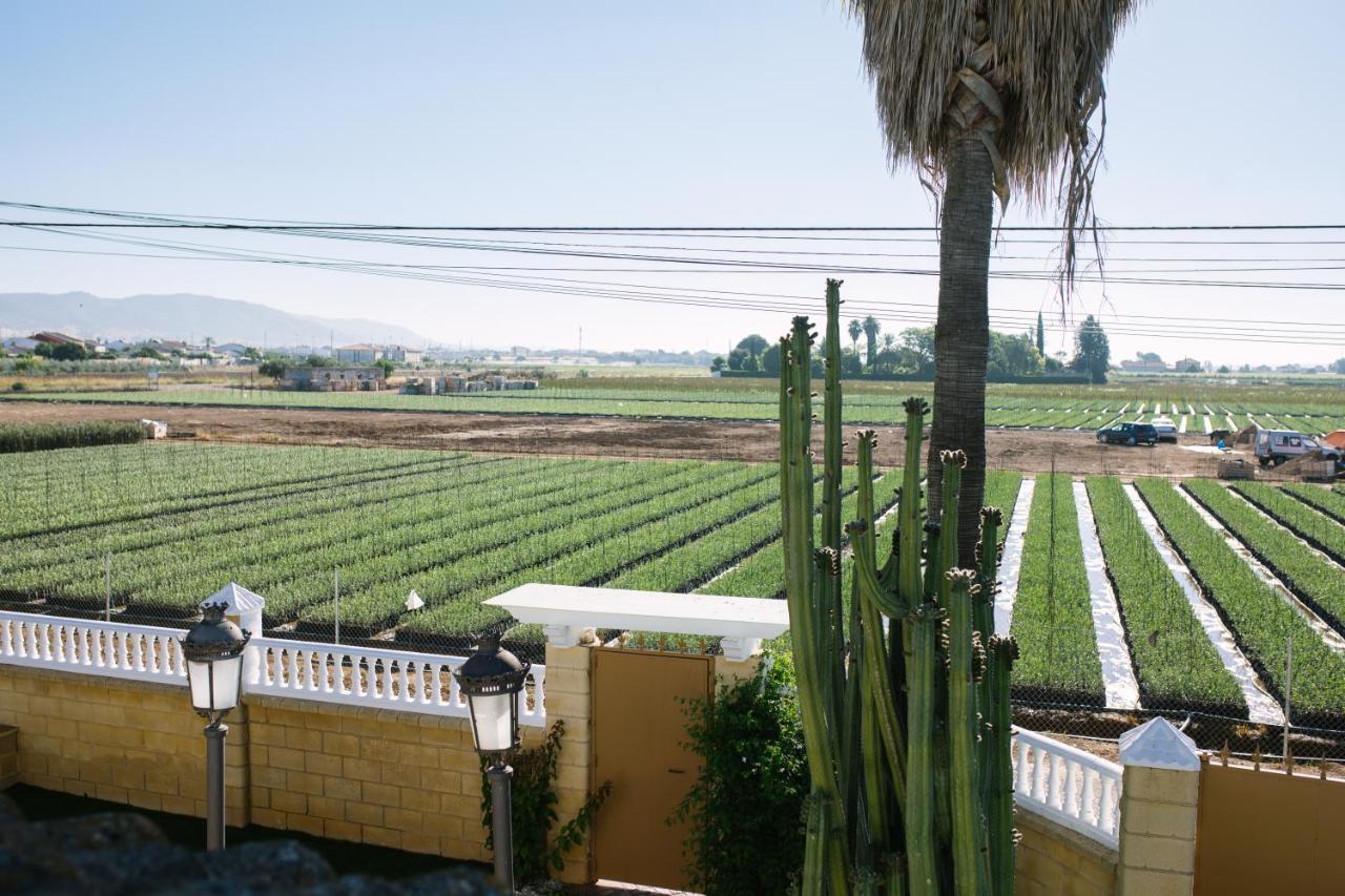 Casa Luxury "El Olivo De Cordoba" Con Jacuzzi Y Parking Privado Pensionat Exteriör bild