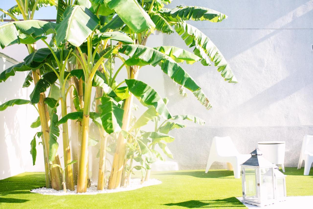 Casa Luxury "El Olivo De Cordoba" Con Jacuzzi Y Parking Privado Pensionat Exteriör bild